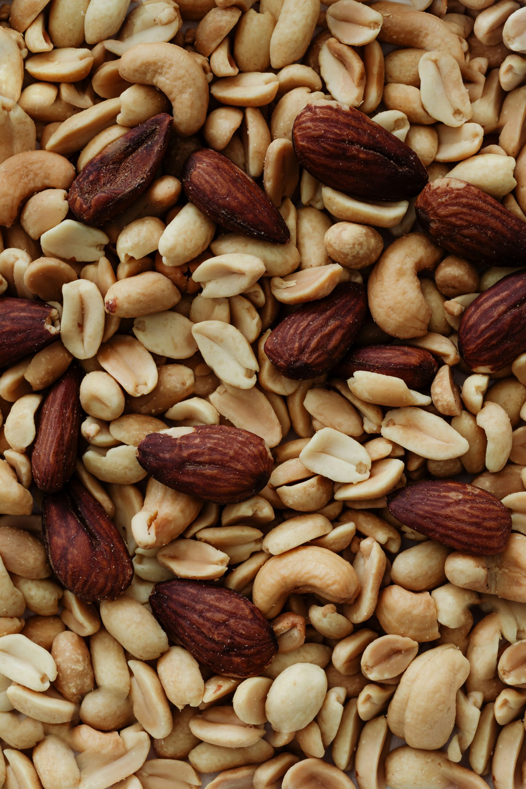 Nuts and Seeds: Essential Components of a Nourishing Diet